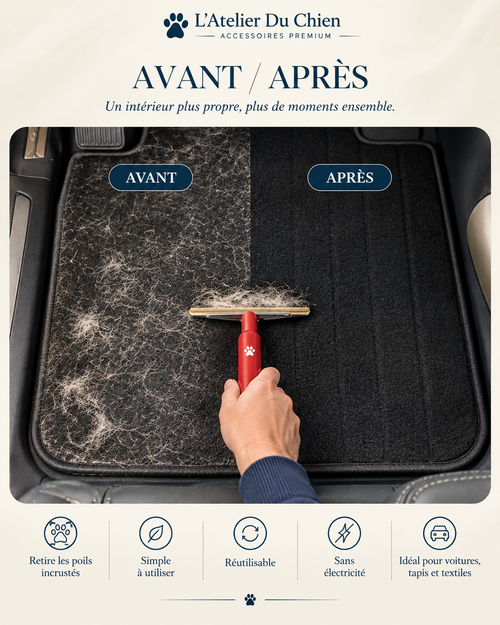 Éliminateur de Poils de Chien pour Tapis – Clear & Clean