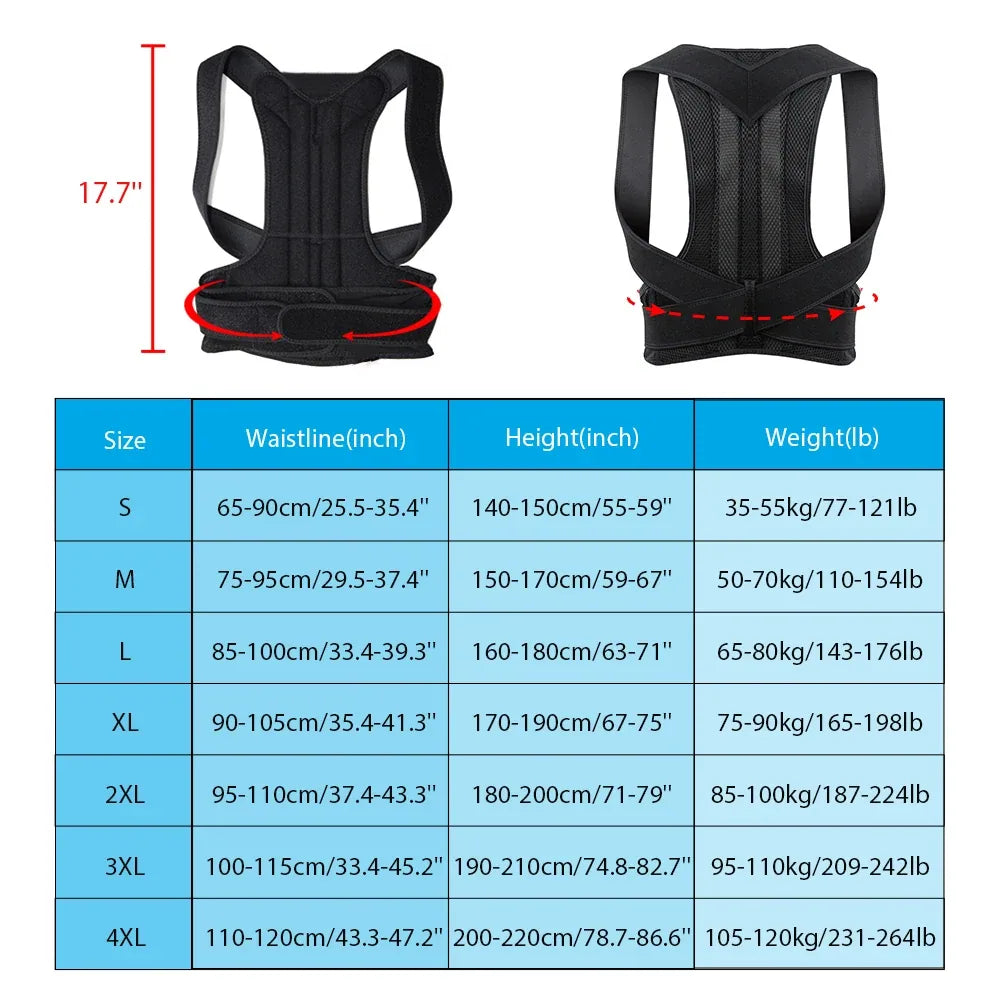 Ceinture de Maintien Postural