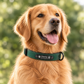 Colliers Personnalisés pour Chien