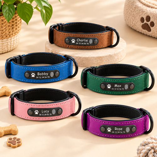 Colliers Personnalisés pour Chien